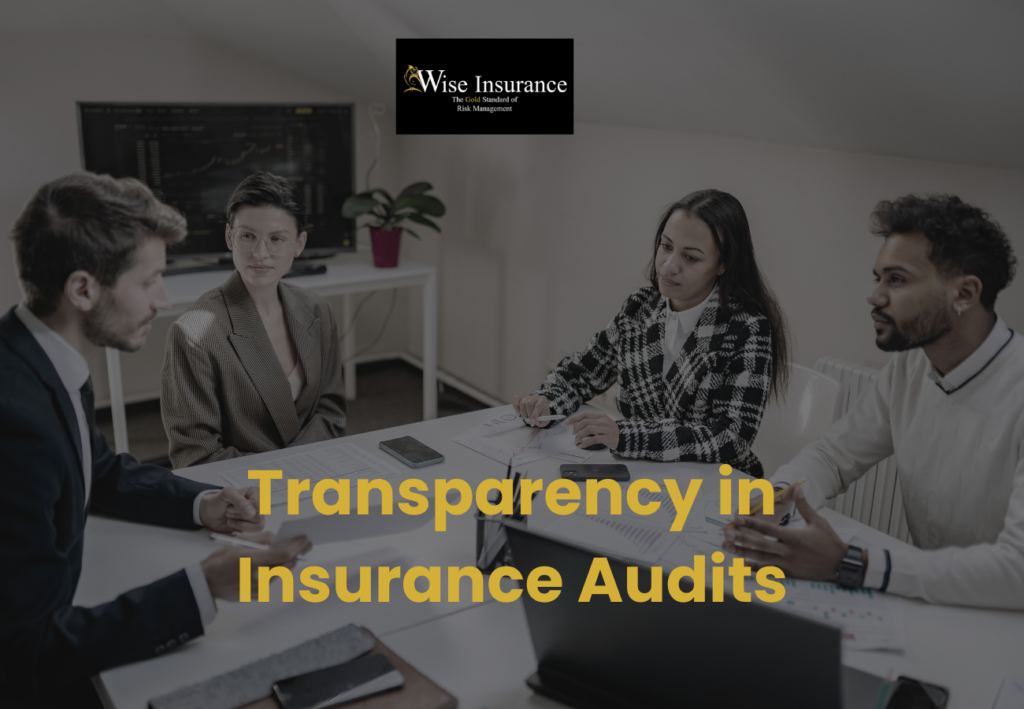 Transparency in Insurance Audit Preparation 