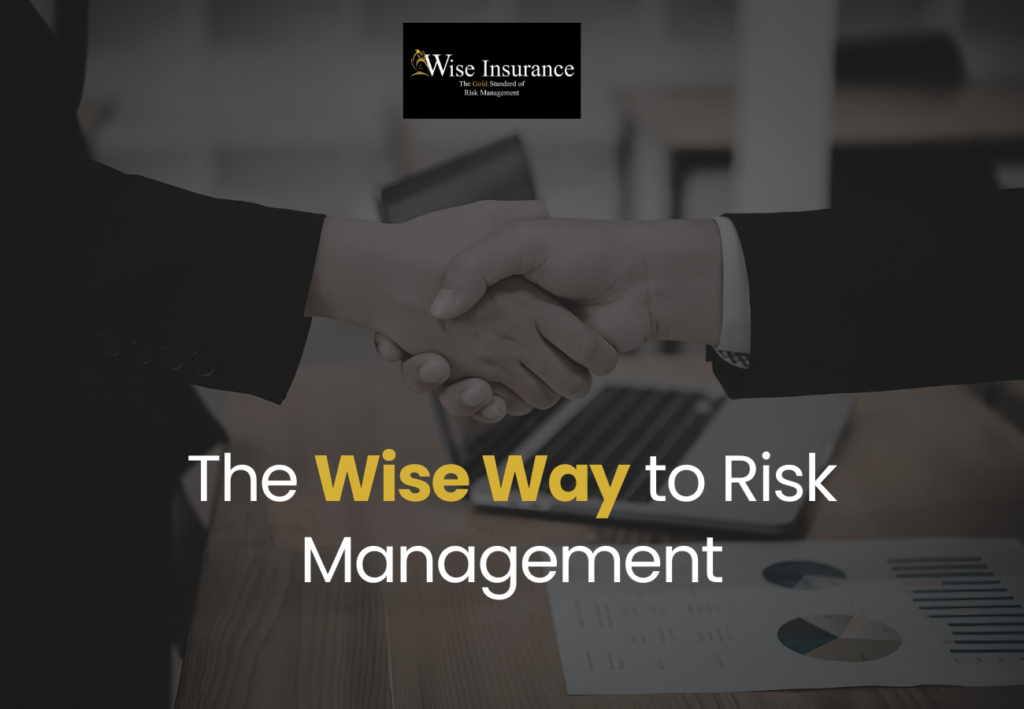 The Wise Way to Risk Management Plan
